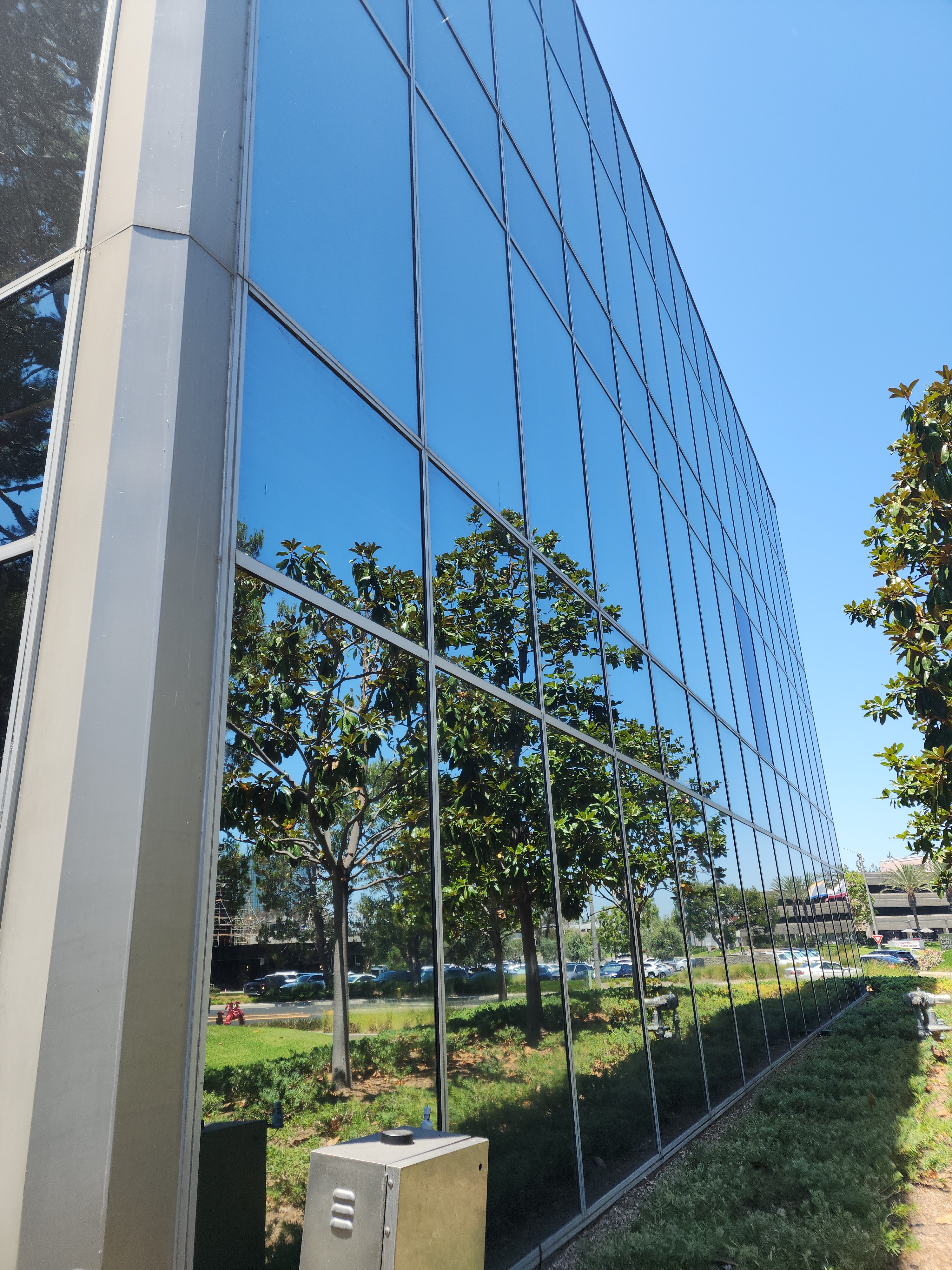 Commercial Window Cleaning