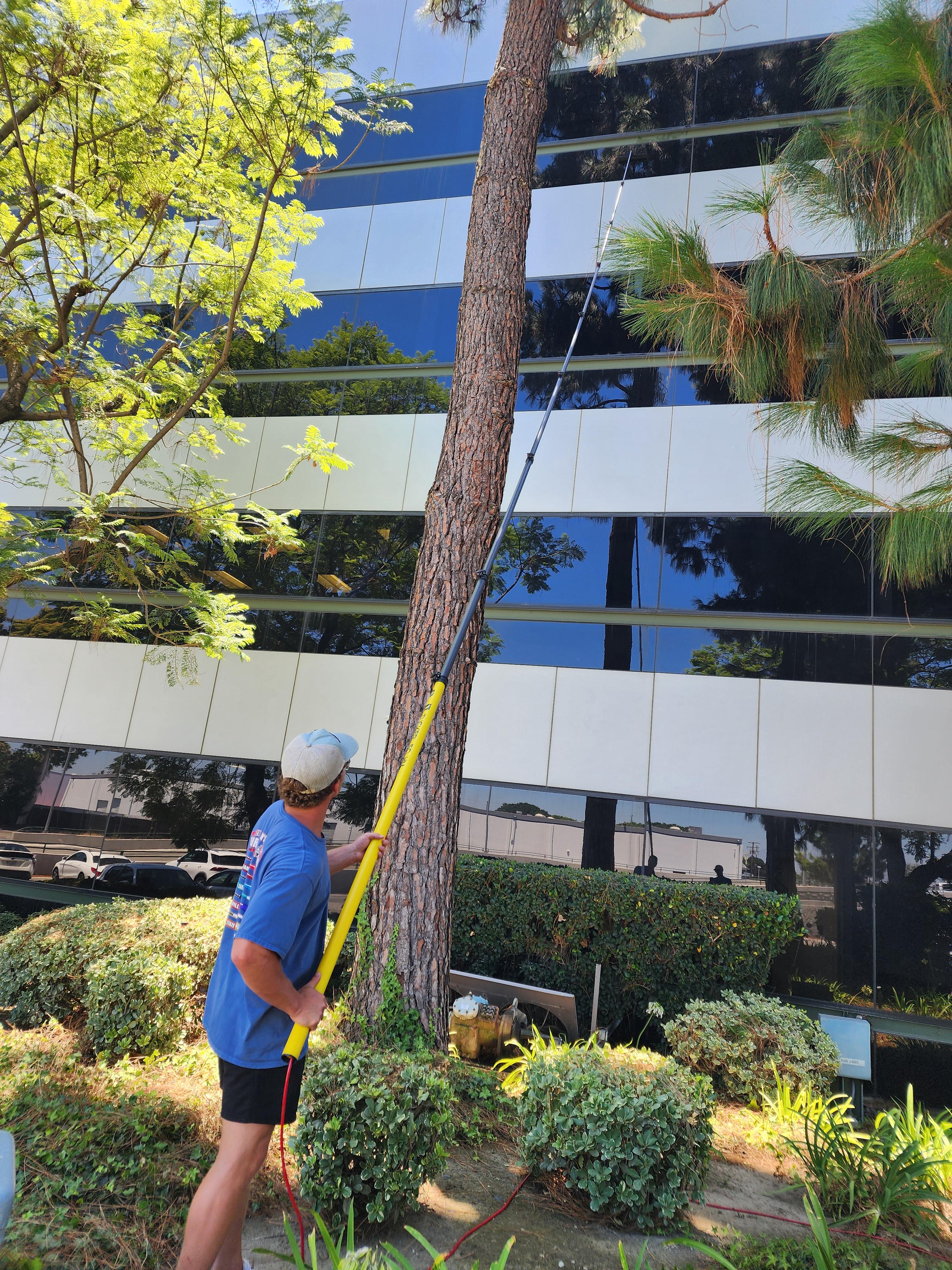 Technician cleaning a tall mirrored office building with a water-fed pole